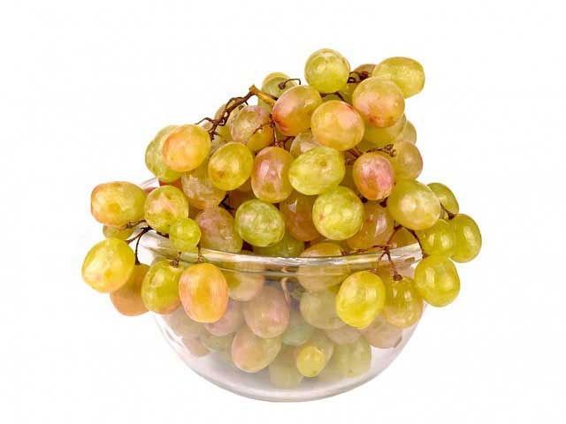 电话呼叫软件网页版